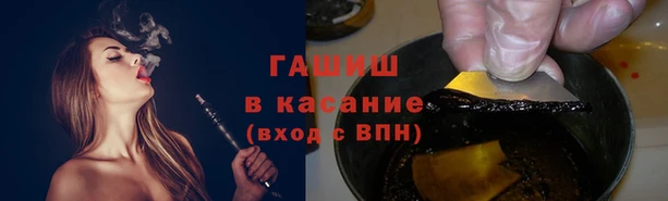 крисы Алзамай