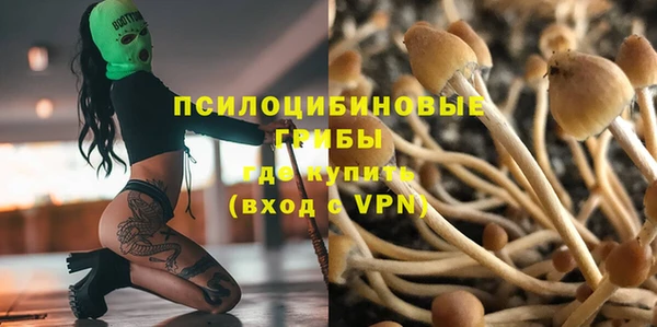 крисы Алзамай