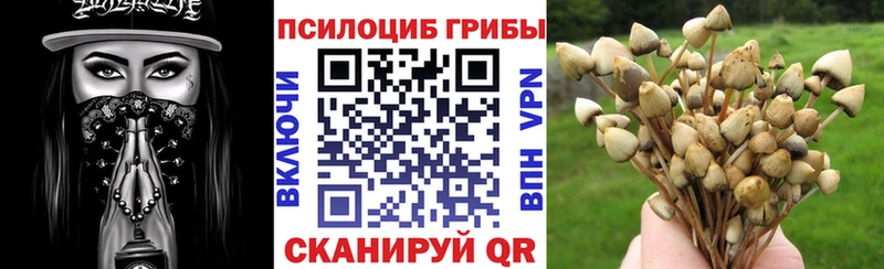 Галлюциногенные грибы Cubensis  где купить наркоту  ОМГ ОМГ ONION  Хвалынск 